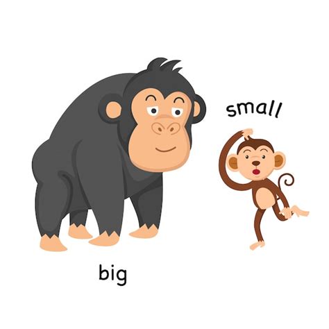 Opposite Big And Small Vector Illustration Premium Vector