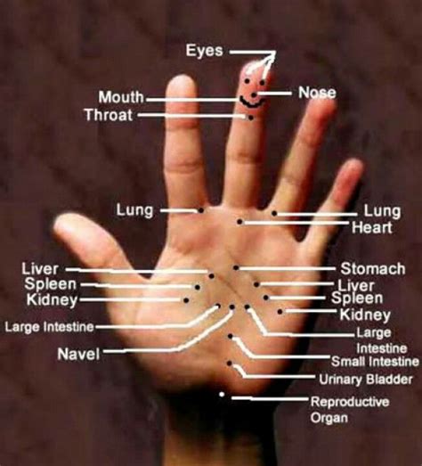 Pressure Points Hand Reflexology Acupressure Treatment Acupuncture