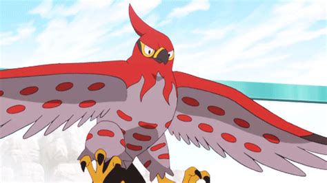 Top 10 Favorite Flying Type Pokémon Pokémon Amino
