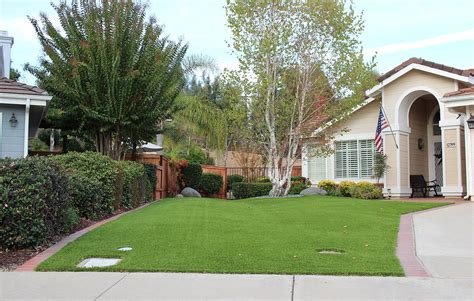A Stunning Drought Resistant Transformation Us Turf