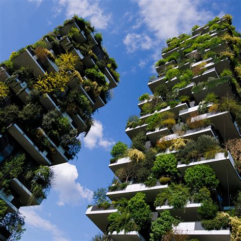 The Urban Forest Of The Future How To Turn Our Cities Into Treetopias