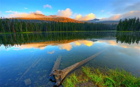 Nature Landscape Lake Forest Mountains Blue Water