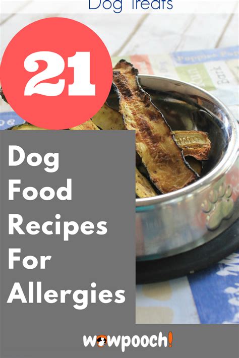 It can be difficult to feed dogs with allergies. 21 Dog Food Recipes For Allergies in 2020 | Healthy dog ...