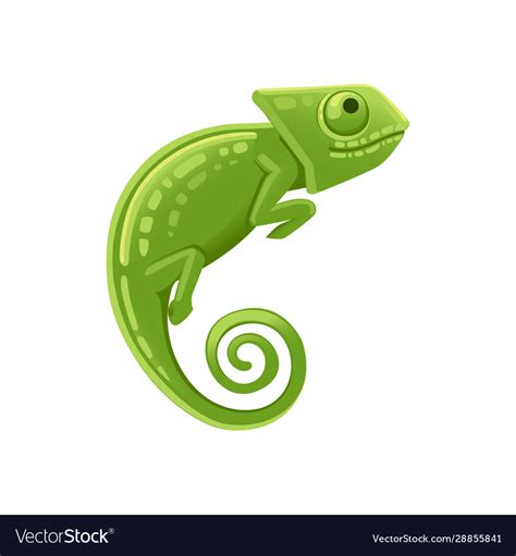 Cute Small Green Chameleon Lizard Cartoon Animal Vector Image