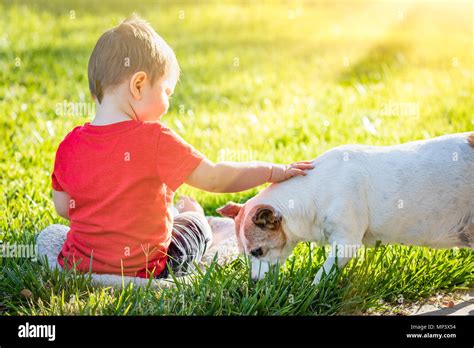 Boy Petting Dog Hi Res Stock Photography And Images Alamy