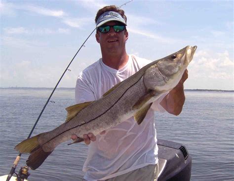 Snook Florida Fishing Charters