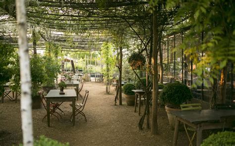 Garden Centres In London On - 23 Tips That Will Make You Influential In ...