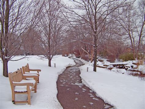 Free Images Tree Snow Winter Bench Sidewalk Frost Ice Weather