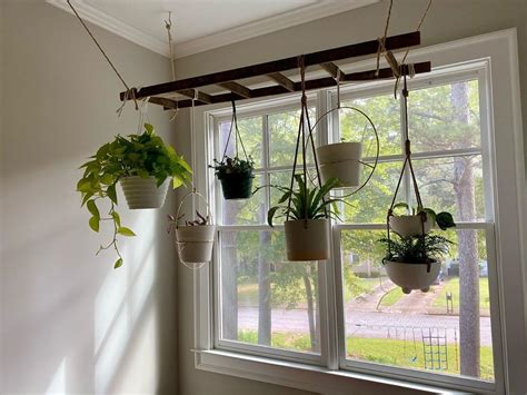 Plant Ladder Ceiling Hanger 26 Diy Plant Stands Youll Love The