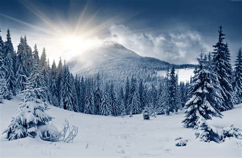 Winter Forest K Wallpapers Top Free Winter Forest K Backgrounds