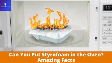Can You Put Styrofoam In The Oven Amazing Facts