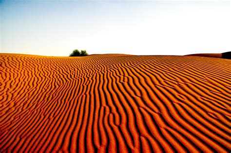 Desert Landscape Managementder