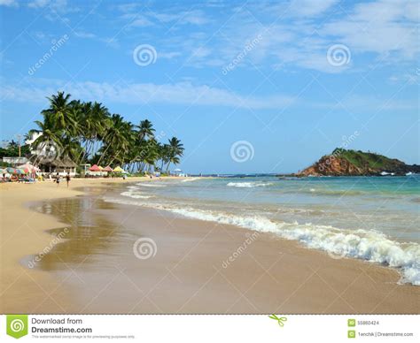 Mirissa Beach Sri Lanka Stock Photo Image Of Nature
