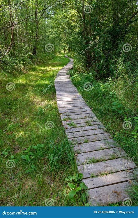 A Wooden Walking Path Over Wetlands Stock Photo Image Of Background