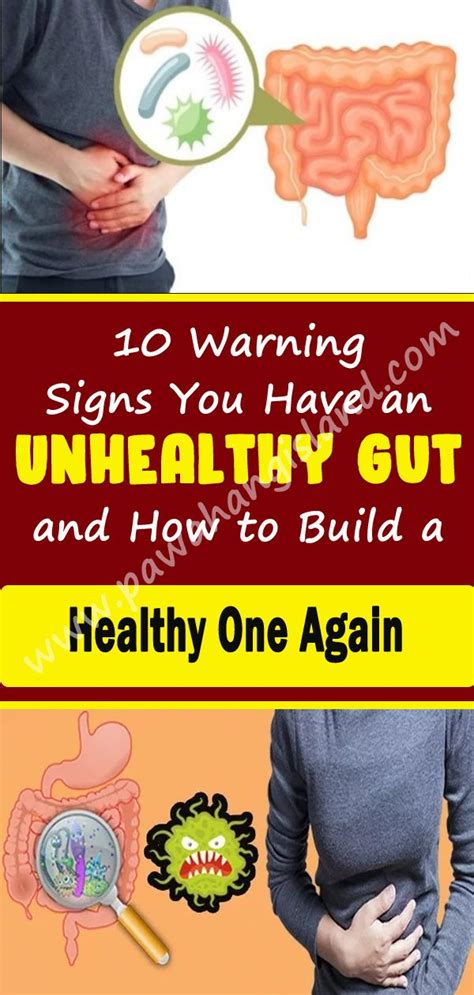 10 Warning Signs You Have An Unhealthy Gut And How To Build A Healthy