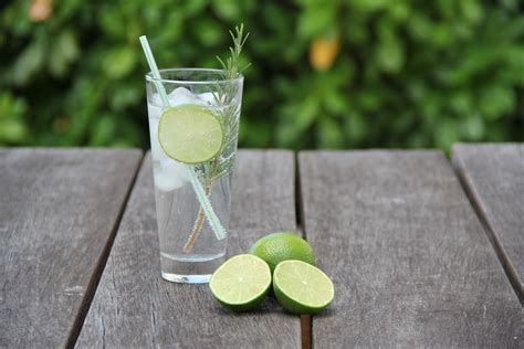 Free Images Glass Food Green Produce Lemonade Drink Lemon Alcohol Cocktail Mojito