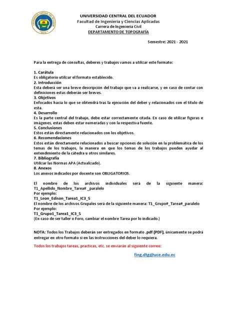 Formato Entrega Tarea Consultas Pdf