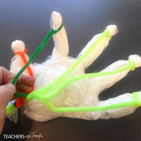 10 Pipe Cleaner Projects In Stem Laptrinhx News