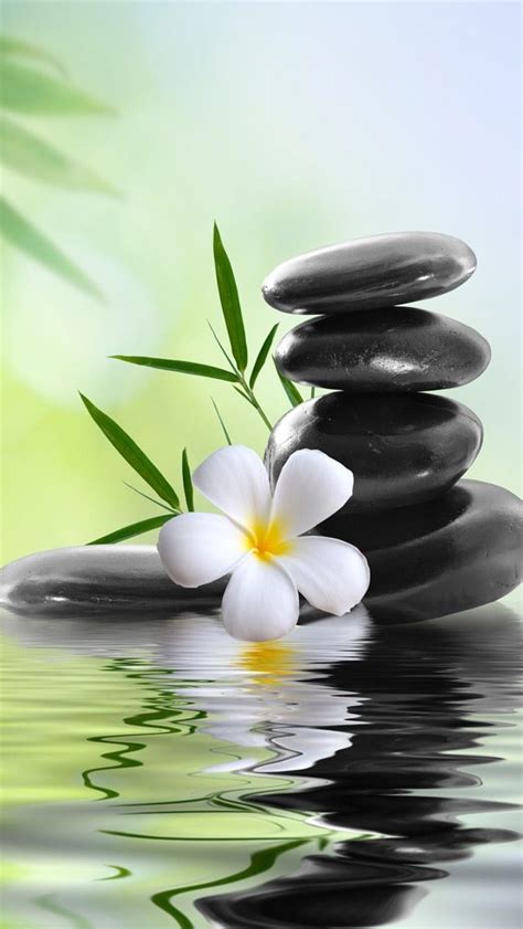 tap and get the free app nature spa stones flowers relax water green hd iphone 5 wallpaper