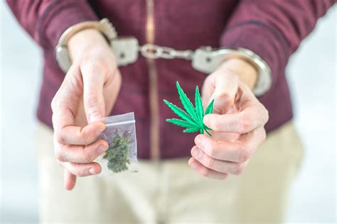 More People Were Arrested For Cannabis Last Year Than For All Violent