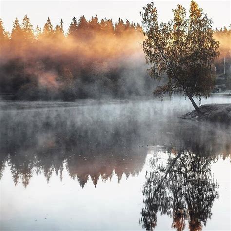 Swedish Autumn Cold But Beautiful Photo By Swedish Photographer