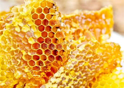Honeycomb Wax Stock Photo Image Of Farm Healthy Meal 25431170
