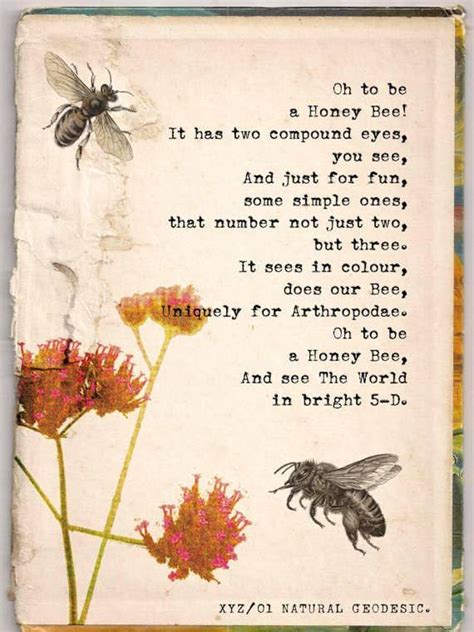 12 Beautifully Illustrated Poems Celebrating Science And Nature