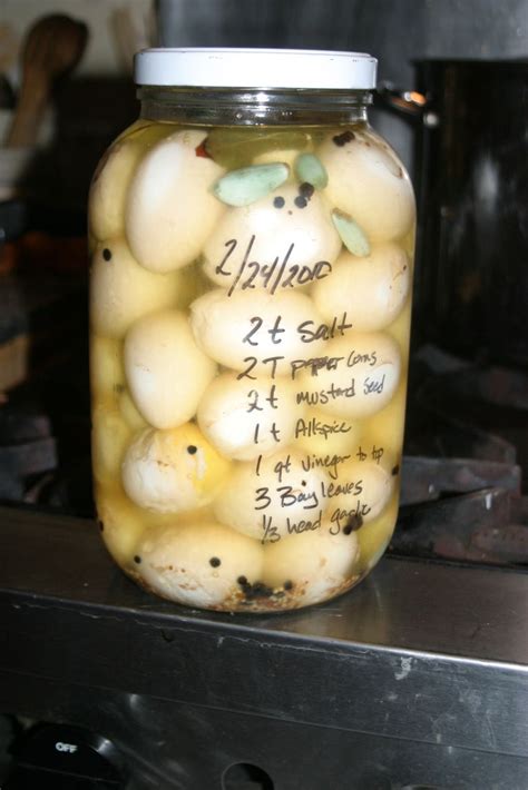 Putting Up Springs Surplus Pickled Eggs The Cultured Home