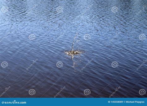 Blue Lake Water Surface With Ripples And Splashing Item Falling Into It