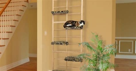 Everybody knows a cat loves a tall spot to perch, and the frisco floor to ceiling cat tree gives your cat just that: Floor Ceiling Cat Tree Shelf Tower Pet Furniture Perch ...