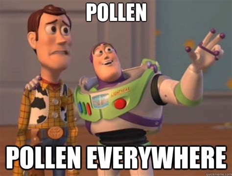 Pollen Pollen Everywhere Toy Story Quickmeme