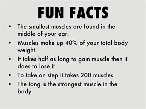 Fun Facts About The Muscular System Renew Physical Therapy