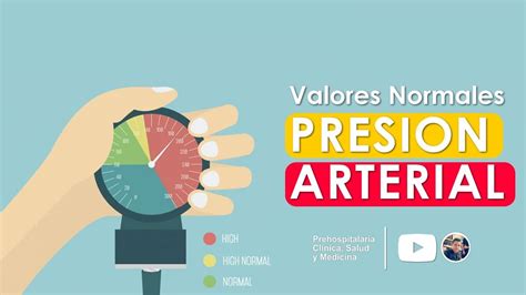 Valores Normales De La Presión Arterial 👈👈👈 Youtube