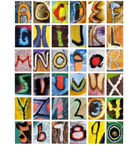 Operating a drone delivery service. Entire English #alphabet found on #butterfly wings! #Type #Typography # ...