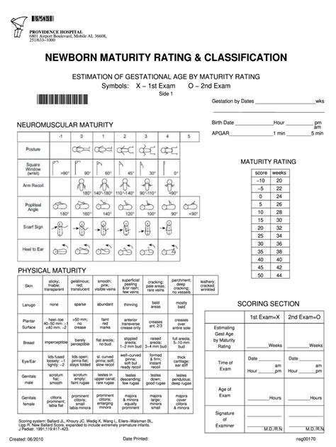 Newborn Maturity Rating And Classification Fill Out And Sign Online Dochub