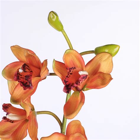Single Artificial Cymbidium Orchids Stems Artificial Flower Cymbidium Real Touch Flowers Buy