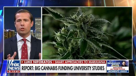 Laura Ingraham On Twitter Big Cannabis Is Pumping Out Fake Research On The Benefits Of The