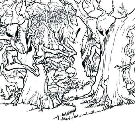 The best free Forest coloring page images. Download from 928 free