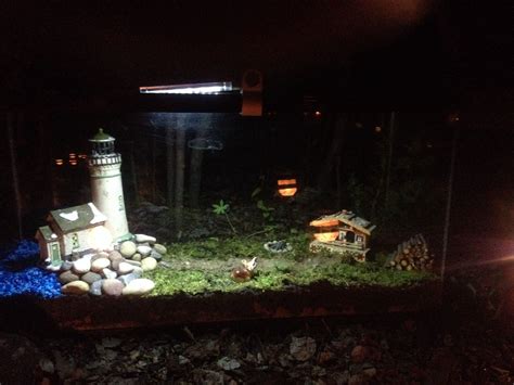 A Small Garden With Rocks And Lights In The Dark