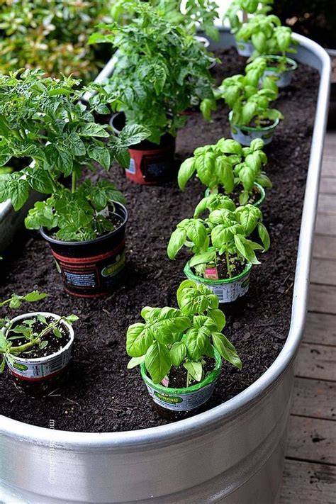 The Best Best Containers For Vegetable Gardening References Atelieartemae