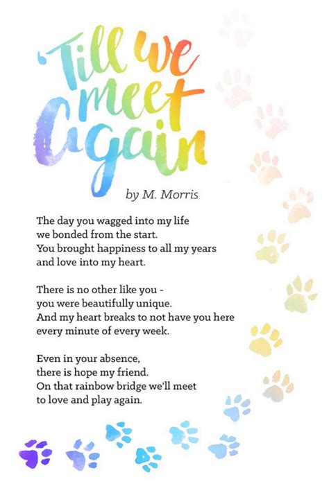 Rainbow bridge (death of a pet) submitted by: How to deal with death of a pet - Pawsitive Wellness Center