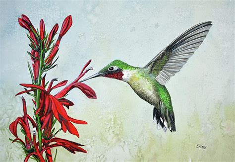 Ruby Throated Hummingbird Painting By Stephen Emms Pixels