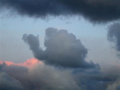 Maybe you would like to learn more about one of these? Clouds That Look Like Things | Amusing Planet
