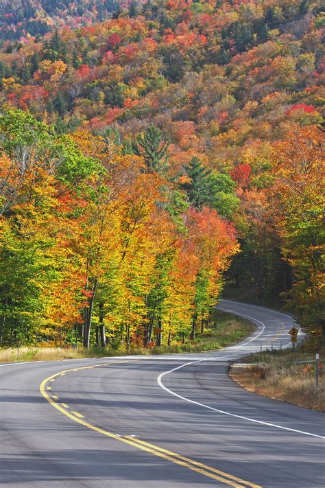 Americas 25 Most Beautiful Scenic Byways Scenic Byway Scenic Road