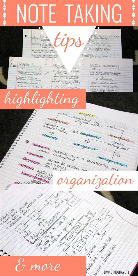 College Note Taking Tips Highlighting Organization And More