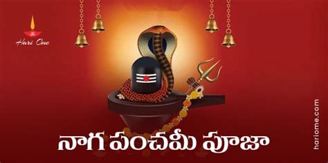 Nag Panchami Puja Vidhi in Telugu నగ పచమ పజ వధన Hari Ome