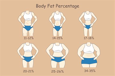 How To Calculate How Much Body Fat You Have Haiper News