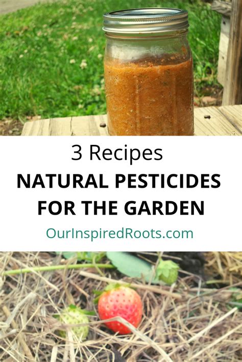 Looking For Natural Pesticides To Prevent Pests From Eating Your Garden