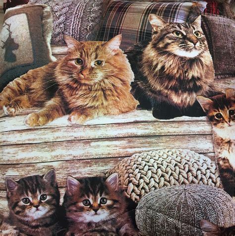 Home / prodotti taggati lenzuolo bassetti. Trapunta Gatti in Cotone - Cose di Casa, un mondo di ...