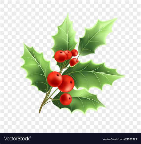 Download Christmas holly twig realistic Royalty Free Vector Image